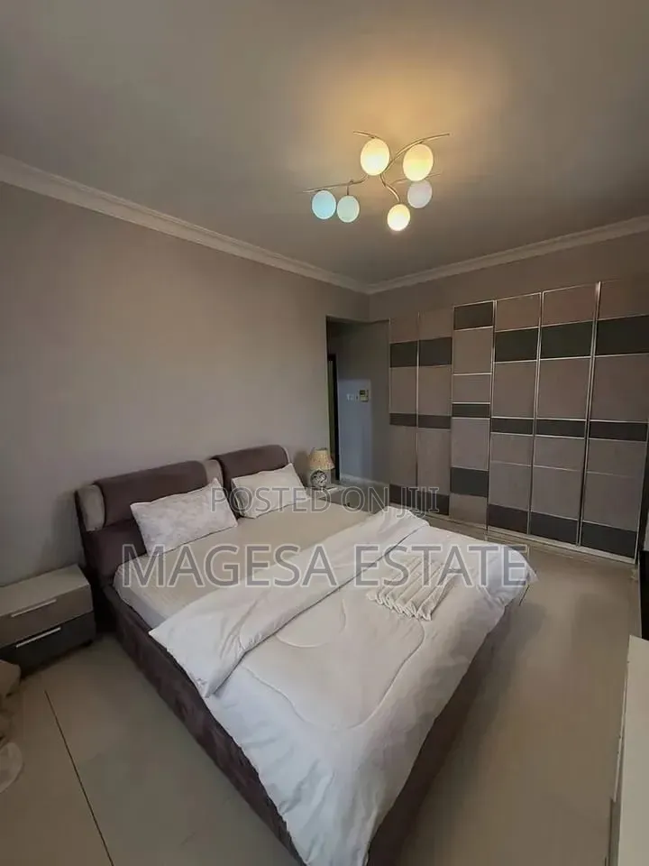 Furnished 3bdrm Apartment in Masaki for rent