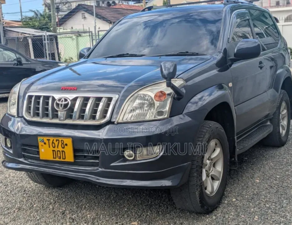 Toyota Land Cruiser Prado 2004 Gray