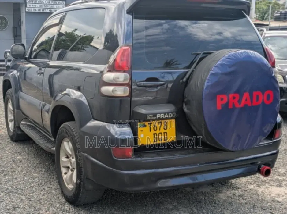 Toyota Land Cruiser Prado 2004 Gray