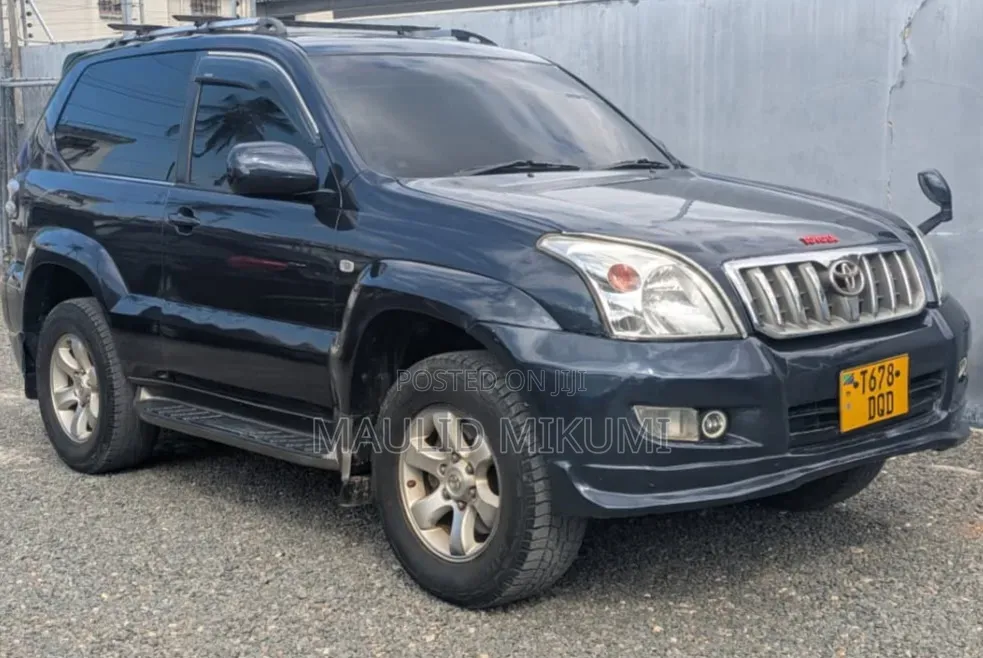 Toyota Land Cruiser Prado 2004 Gray