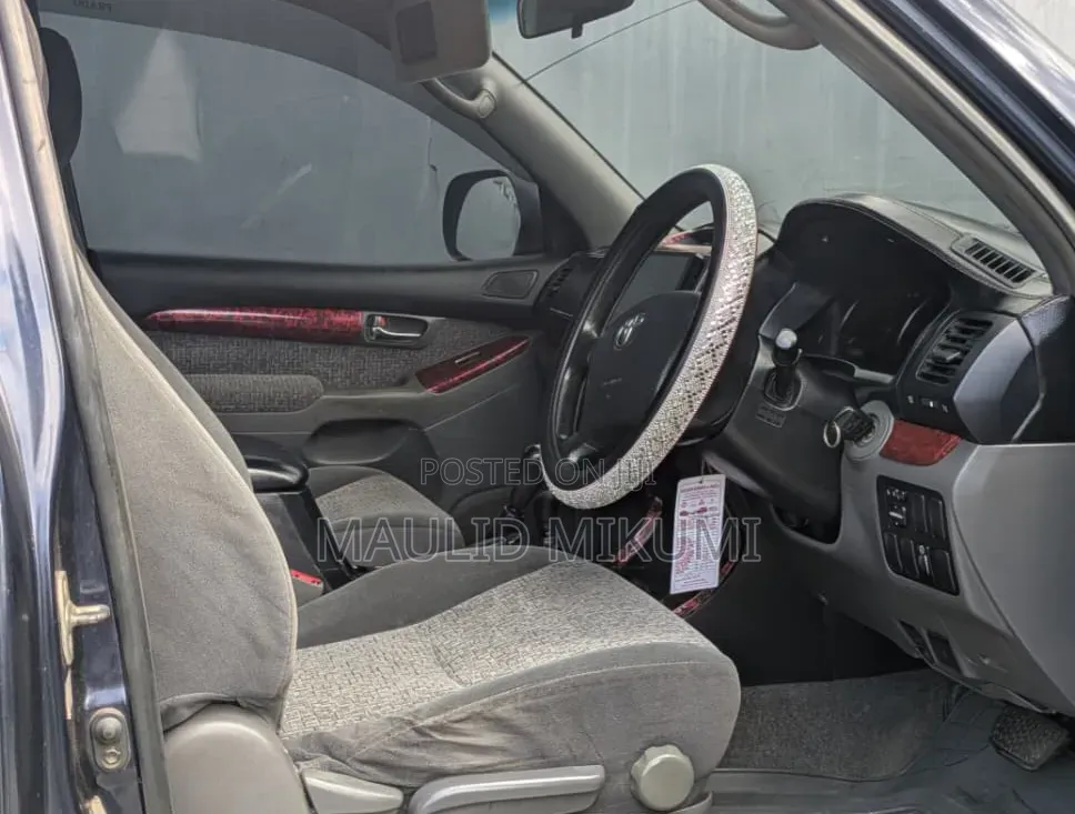 Toyota Land Cruiser Prado 2004 Gray