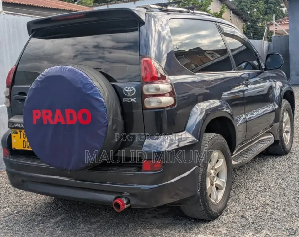 Toyota Land Cruiser Prado 2004 Gray