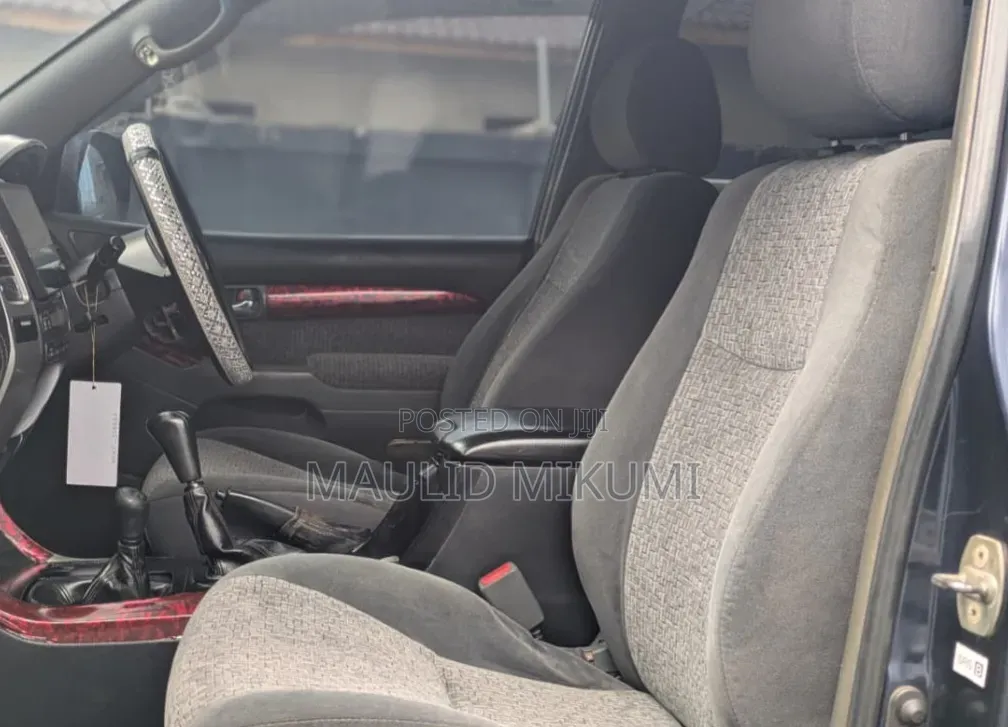 Toyota Land Cruiser Prado 2004 Gray