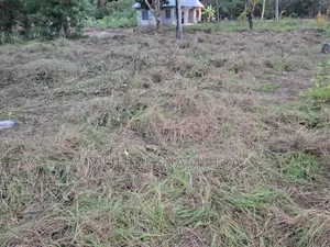 Kiwanja Kinauzwa - Kitonga