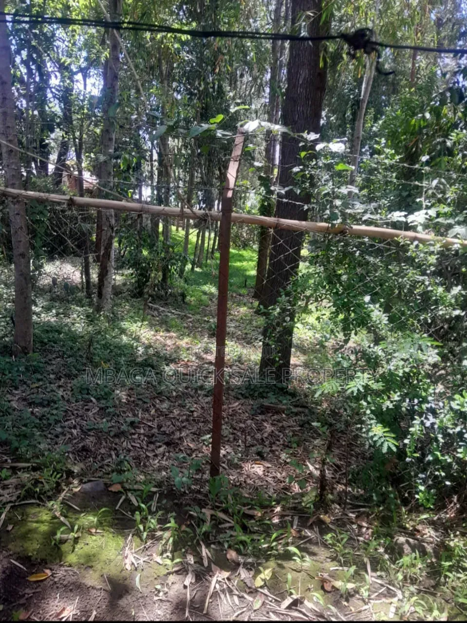 Plot for Sale at Sakina Chini