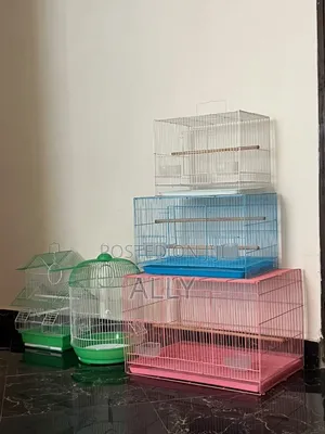 Cages All Size Are Available