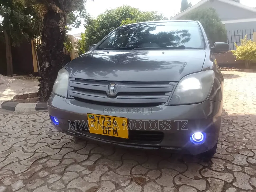 Toyota IST 2004 Gray