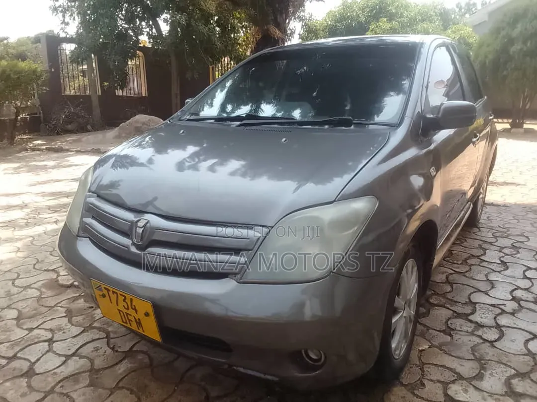 Toyota IST 2004 Gray