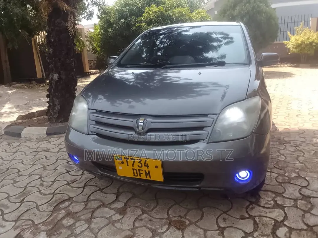 Toyota IST 2004 Gray