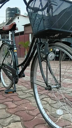 CastaNet Bicycle Brand New