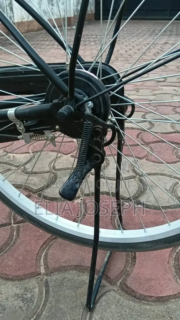 CastaNet Bicycle Brand New