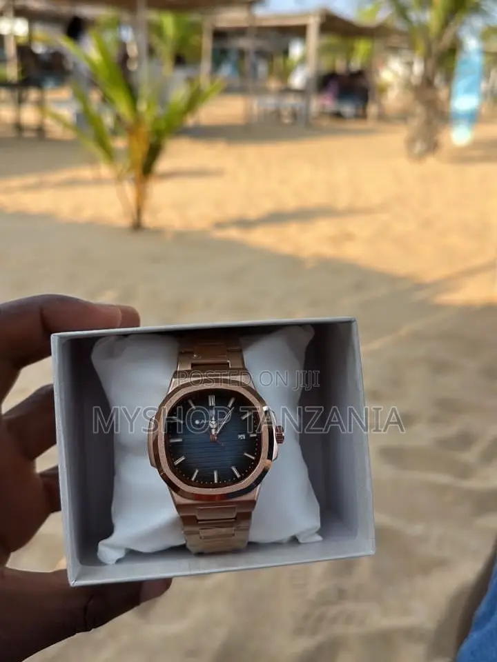 Poedagar 613 Quartz Luxury Watch
