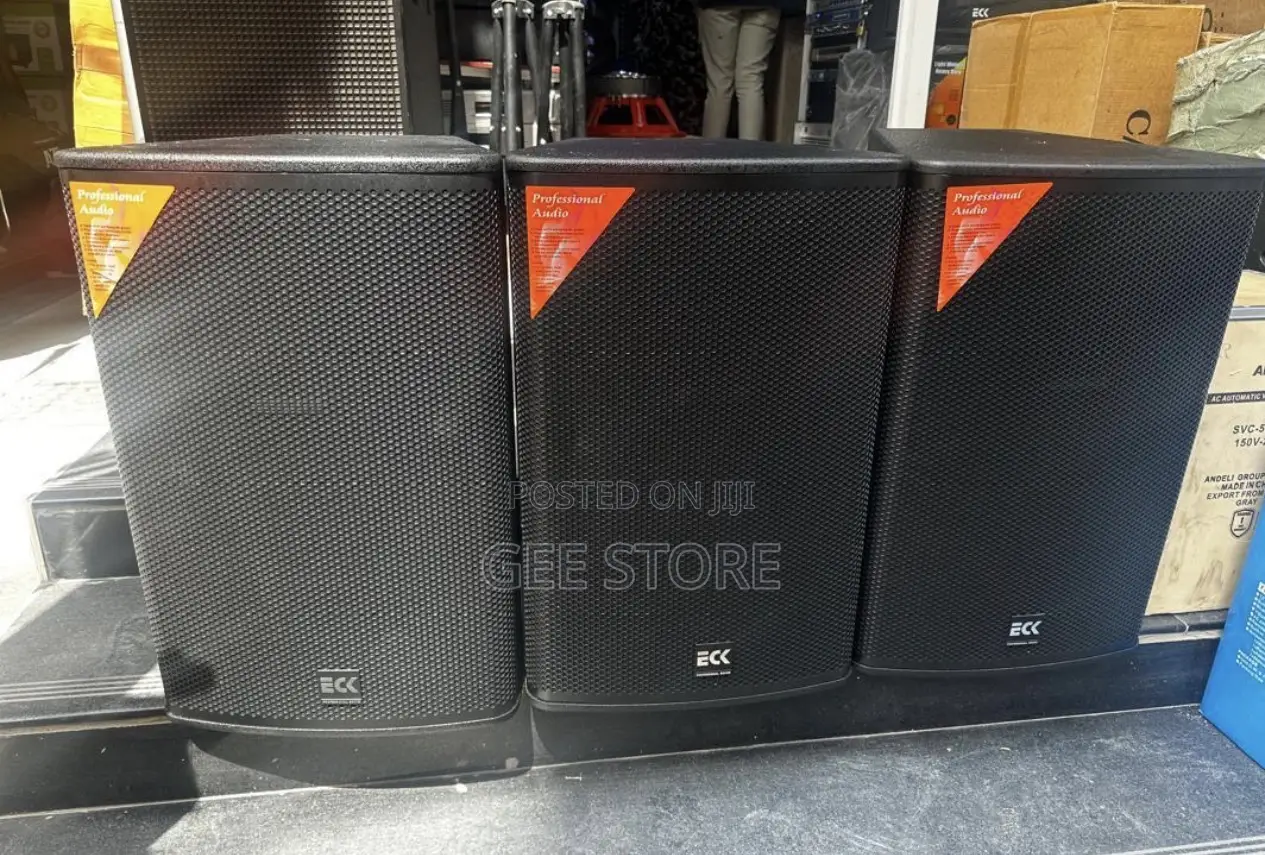 Eck Proffesional Audio PA Speakers