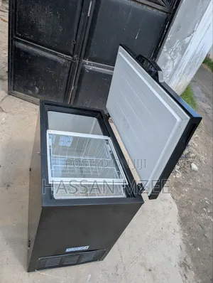 Hisense Freezer 250l
