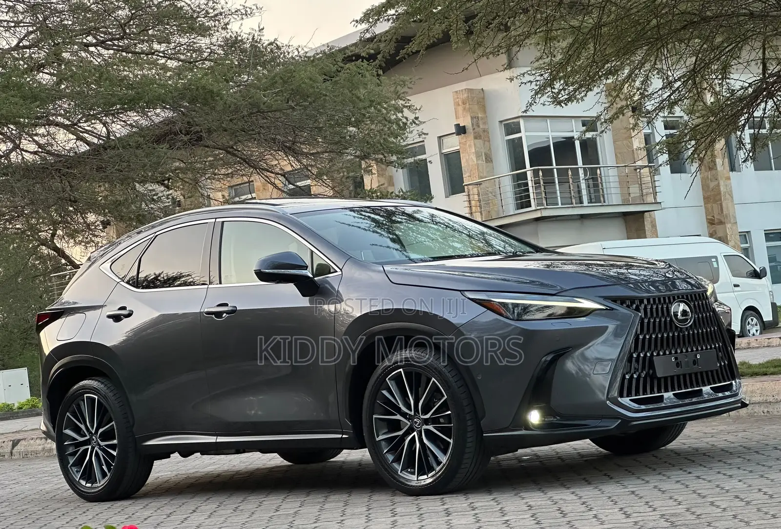 Lexus NX 2022 Gray