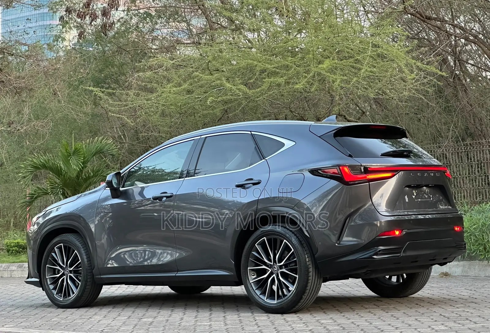 Lexus NX 2022 Gray