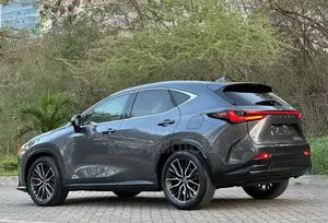 Lexus NX 2022 Gray