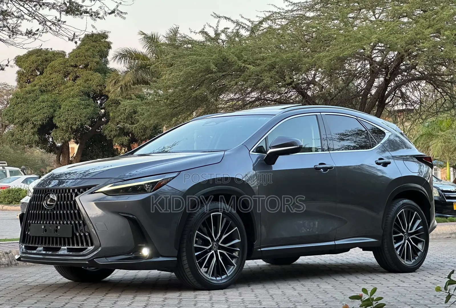 Lexus NX 2022 Gray