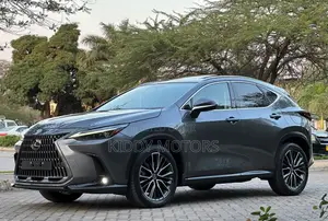 Lexus NX 2022 Gray