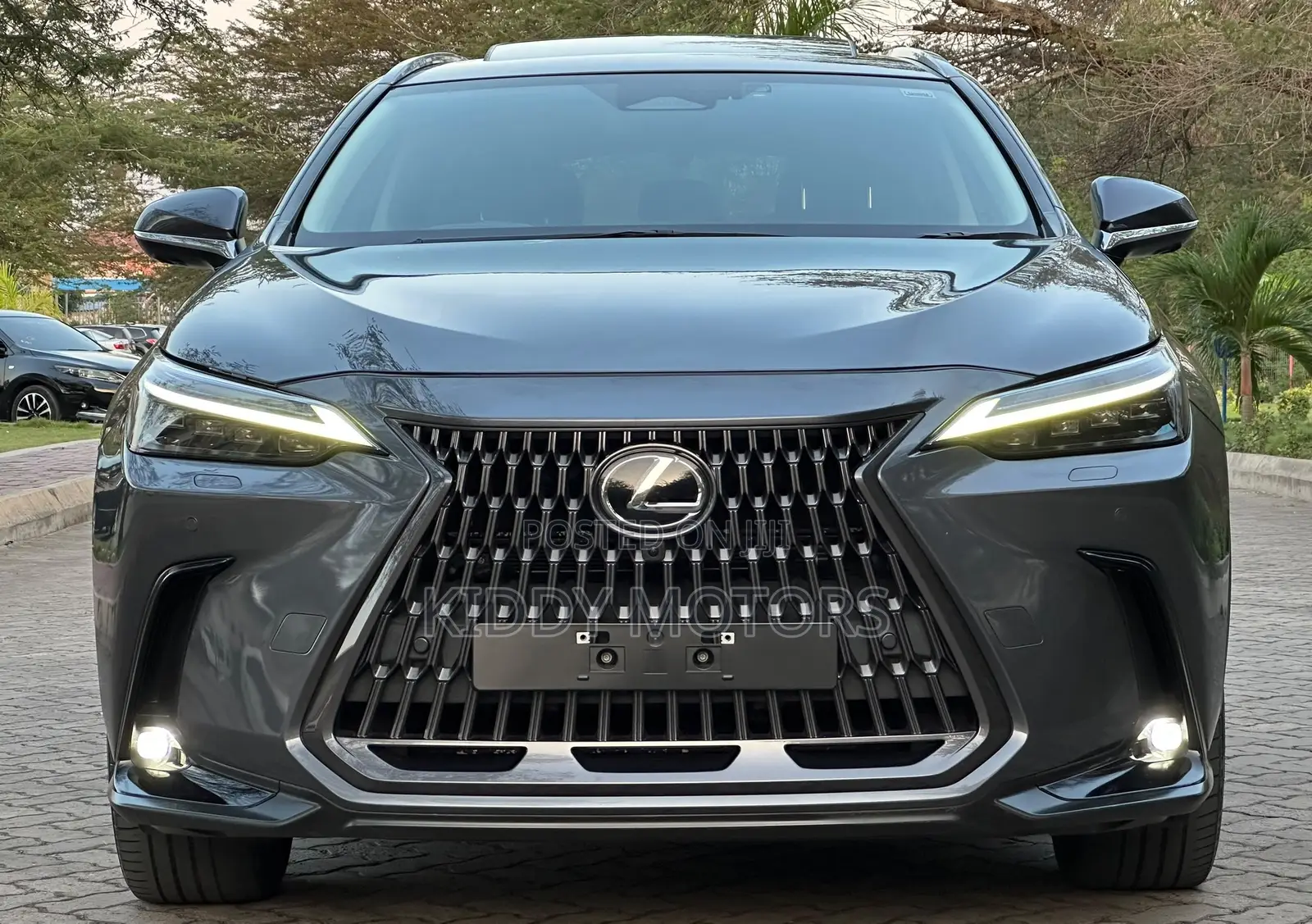 Lexus NX 2022 Gray