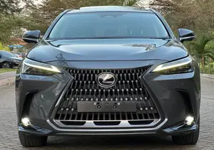 Lexus NX 2022 Gray