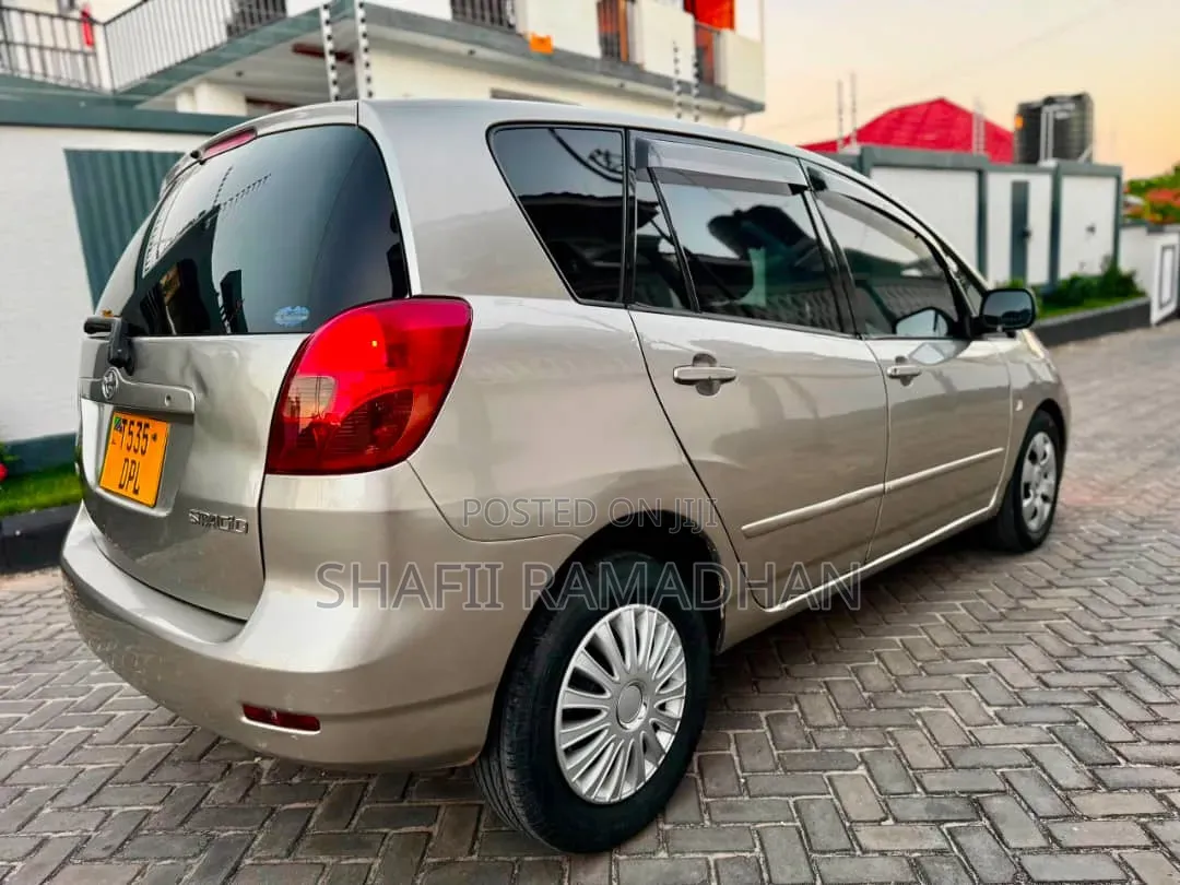 Toyota Corolla Spacio 2009 Silver