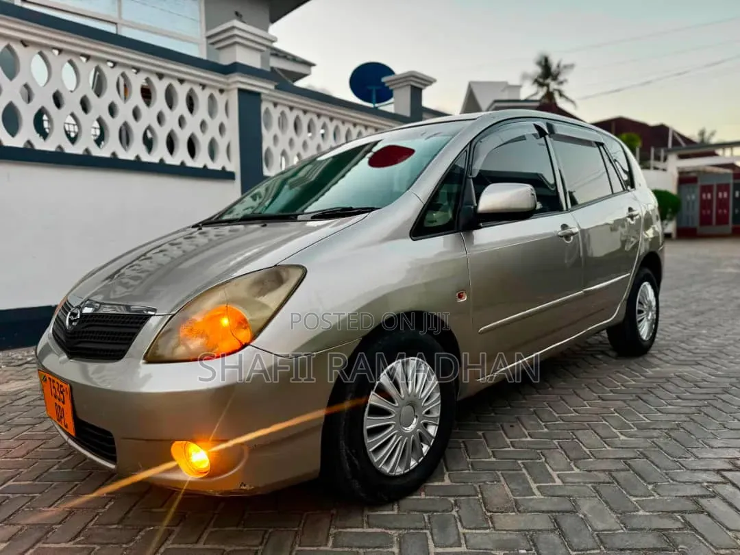 Toyota Corolla Spacio 2009 Silver