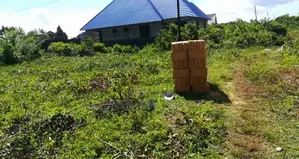 Plot for Sale at Jumbi Zanzibar
