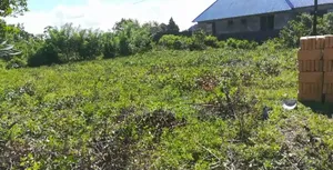 Plot for Sale at Jumbi Zanzibar