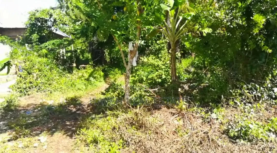 Plot for Sale at Jumbi Zanzibar
