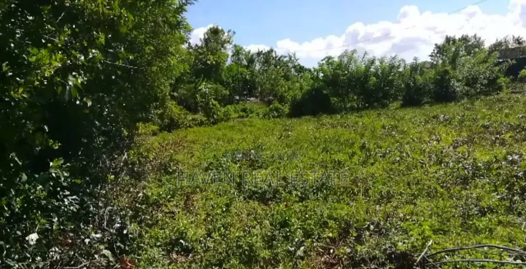 Plot for Sale at Jumbi Zanzibar