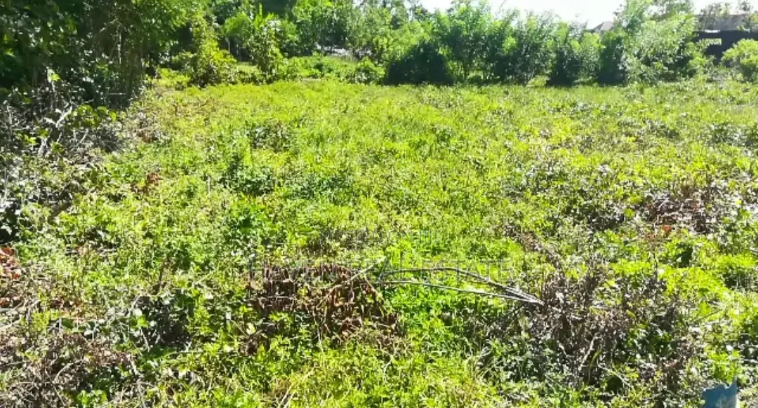 Plot for Sale at Jumbi Zanzibar