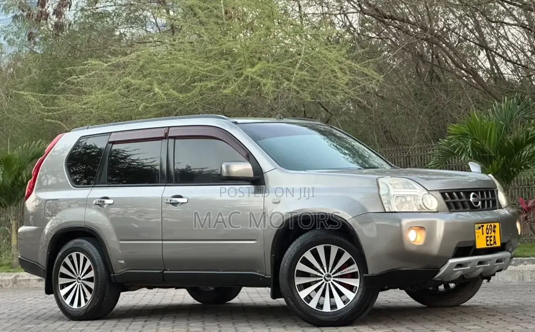 Nissan X-Trail 2007 Gray