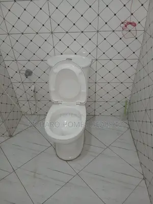 2bdrm Apartment in Mcharo Homes, Chang'ombe for rent