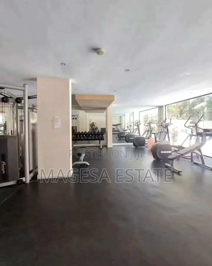 Furnished 3bdrm Apartment in Masaki for rent