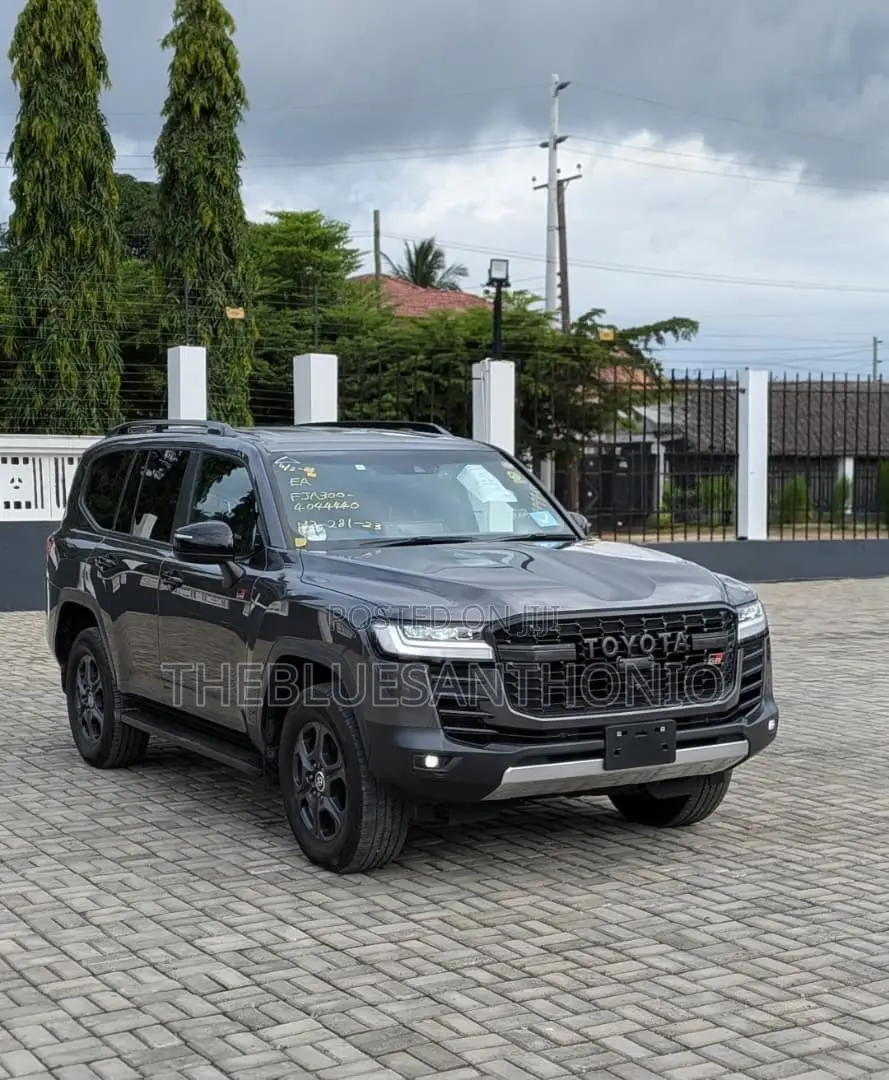Toyota Land Cruiser 2024 Gray
