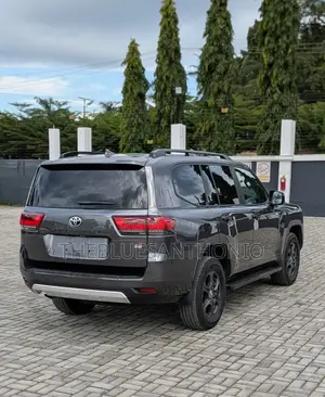 Toyota Land Cruiser 2024 Gray