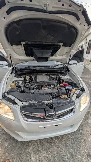 Subaru Exiga 2010 Pearl