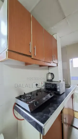 Furnished Mini Flat in Makumbusho Bus Stop, Kijitonyama for rent