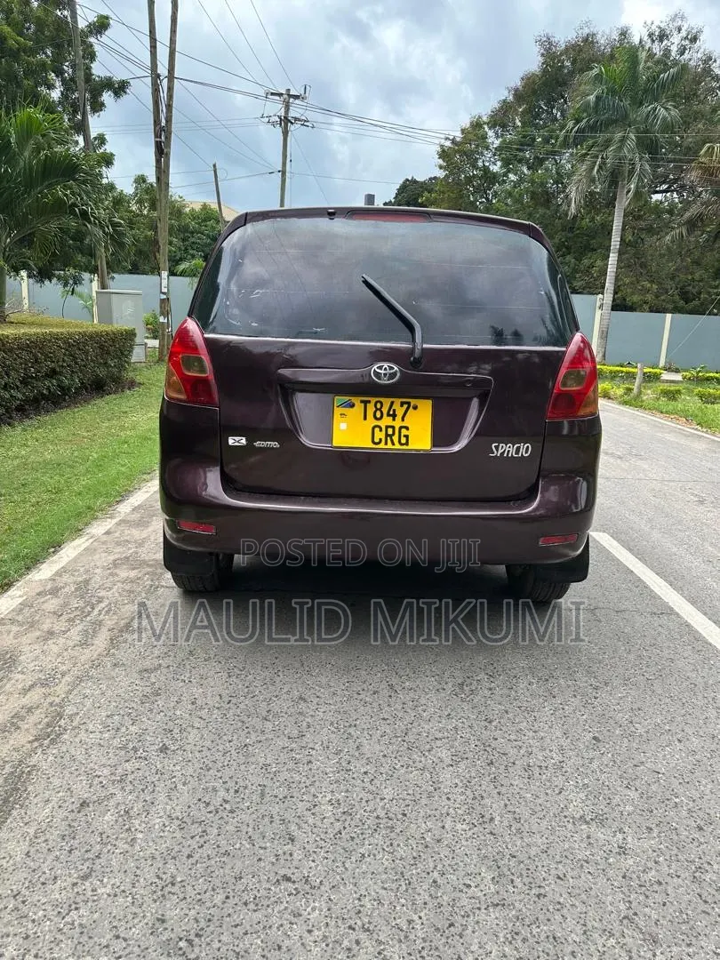 Toyota Corolla Spacio 2004 Maroon