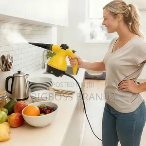 Steam Cleaner Sofa and Kitchen Cleaner