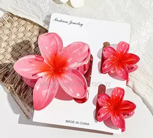 Hair Clip Set