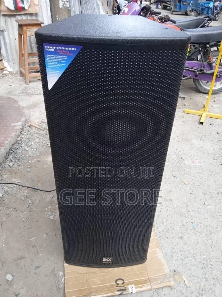 Eck Professional Audio Double Speaker