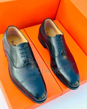 berluti Premium Shoes