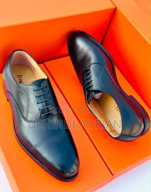 berluti Premium Shoes