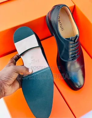 berluti Premium Shoes