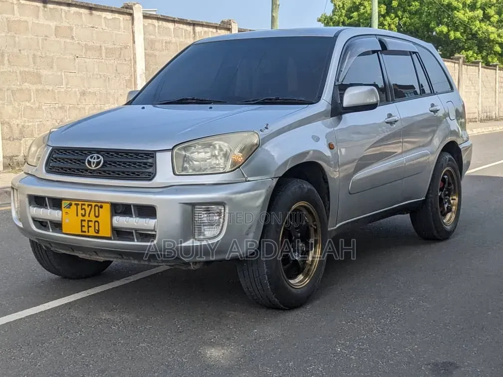 Toyota RAV4 2004 Silver