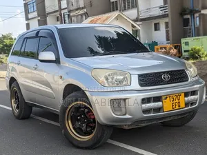 Toyota RAV4 2004 Silver