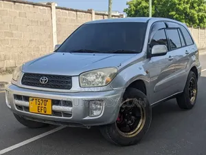 Toyota RAV4 2004 Silver