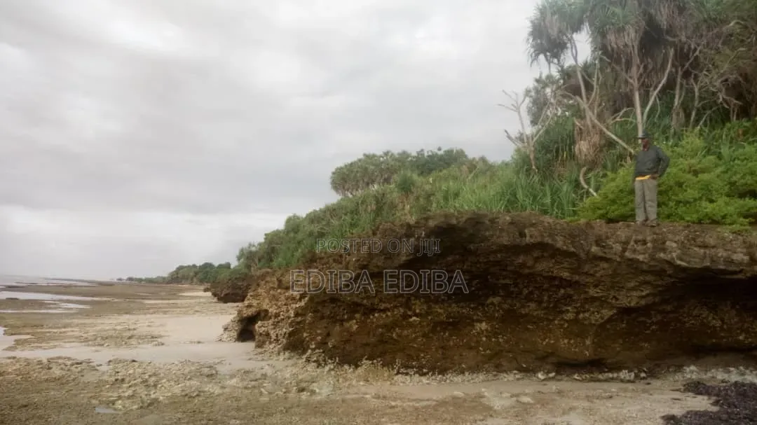 50 Acres Titled Beach Plot for Sale in Pangani Tanga